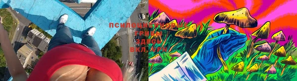 мяу мяу кристалл Алексеевка