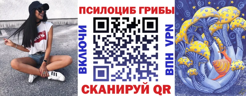 дарнет шоп  Миасс  Галлюциногенные грибы GOLDEN TEACHER 